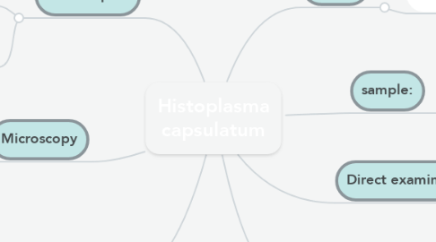 Mind Map: Histoplasma capsulatum