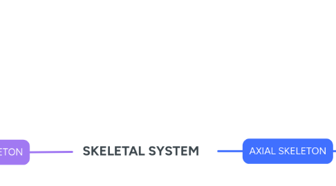 Mind Map: SKELETAL SYSTEM