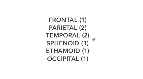 Mind Map: FRONTAL (1) PARIETAL (2) TEMPORAL (2) SPHENOID (1) ETHAMOID (1) OCCIPITAL (1)