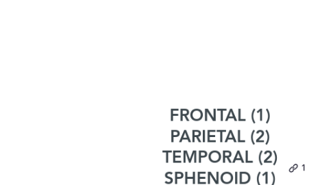 Mind Map: FRONTAL (1) PARIETAL (2) TEMPORAL (2) SPHENOID (1) ETHAMOID (1) OCCIPITAL (1)