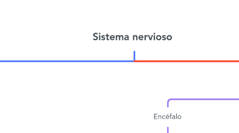 Mind Map: Sistema nervioso