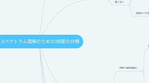 Mind Map: (スペクトラム理解のための)細菌の分類