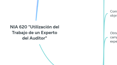 Mind Map: NIA 620 "Utilización del Trabajo de un Experto del Auditor"