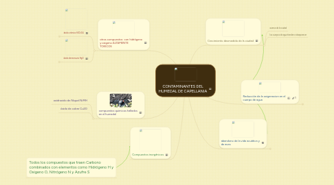 Mind Map: CONTAMINANTES DEL HUMEDAL DE CAPELLANIA