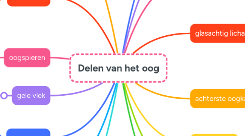 Mind Map: Delen van het oog