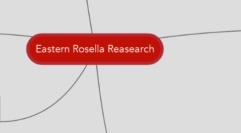 Mind Map: Eastern Rosella Reasearch