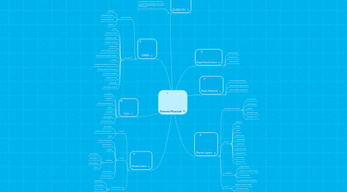 Mind Map: Sistema Muscular