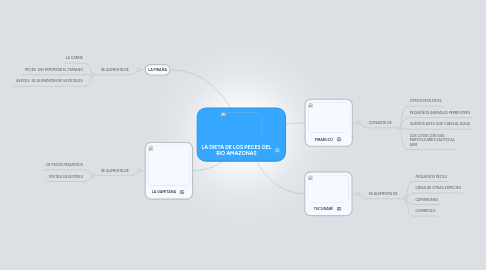 Mind Map: LA DIETA DE LOS PECES DEL RIO AMAZONAS