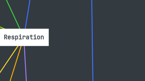 Mind Map: Respiration