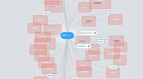 Mind Map: SKO