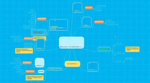 Mind Map: MÚSCULOS, Y SU UBICACIÓN