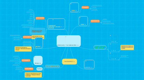 Mind Map: MÚSCULOS,  Y SU UBICACIÓN