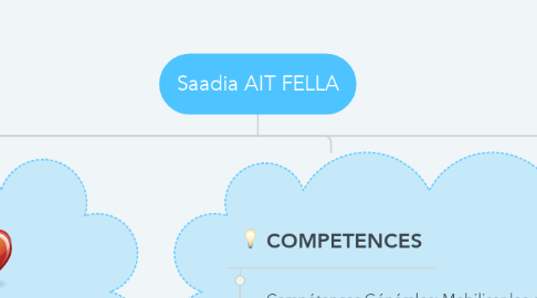 Mind Map: Saadia AIT FELLA