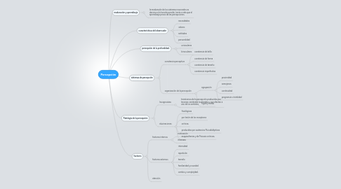 Mind Map: Percepción