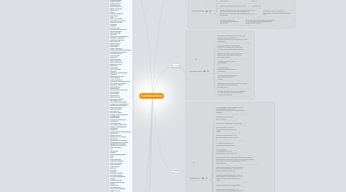 Mind Map: France Business School