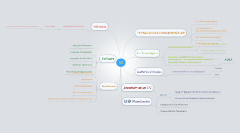 Mind Map: TIC