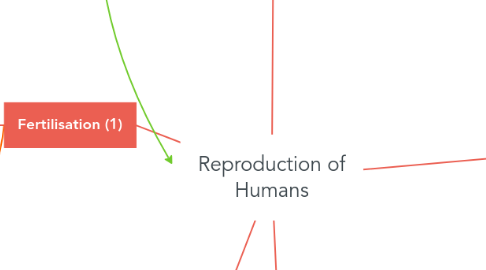 Mind Map: Reproduction of Humans