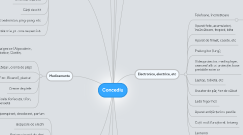 Mind Map: Concediu