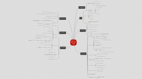 Mind Map: B2BGS 4 Roos van Vugt