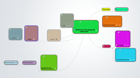 Mind Map: Matrimonio entre pareja del mismo sexo