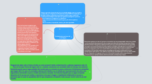 Mind Map: Contaminantes químicos del rió de Bogota