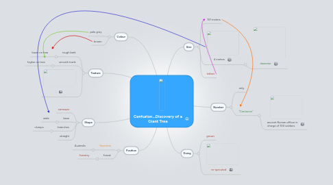 Mind Map: Centurion...Discovery of a Giant Tree