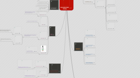 Mind Map: DISCAPACIDAD VISUAL