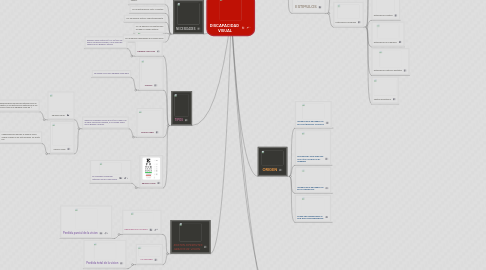 Mind Map: DISCAPACIDAD  VISUAL