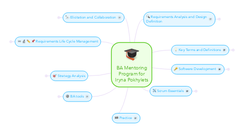 Mind Map: BA Mentoring Program for Iryna Pokhylets
