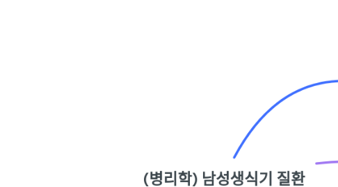 Mind Map: (병리학) 남성생식기 질환