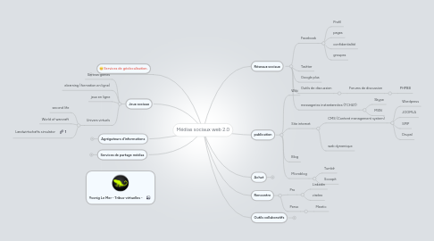 Mind Map: Médias sociaux web 2.0