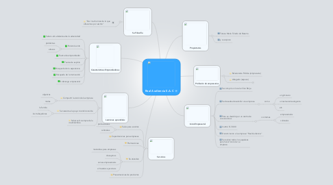 Mind Map: Real Audiencia S.A.C