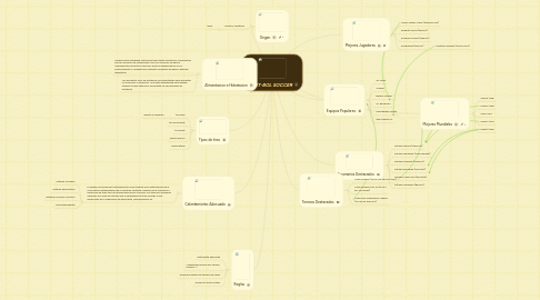 Mind Map: FUT-BOL SOCCER