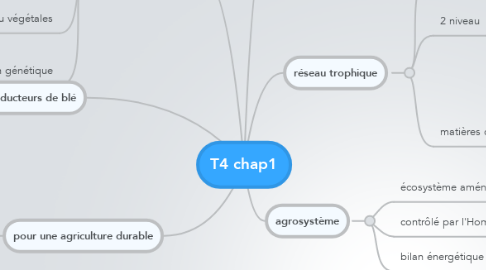 Mind Map: T4 chap1