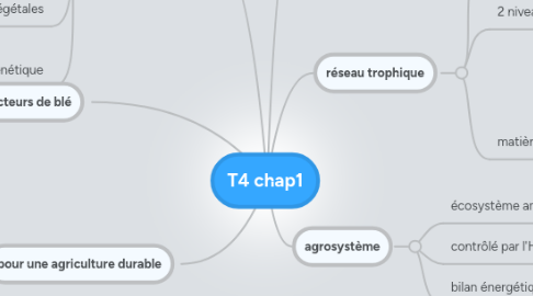 Mind Map: T4 chap1