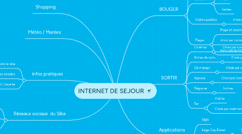 Mind Map: INTERNET DE SEJOUR