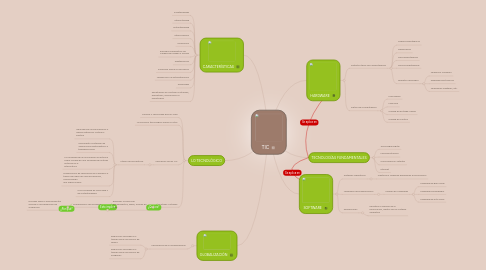 Mind Map: TIC