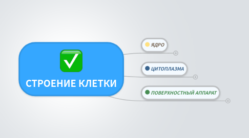 Mind Map: СТРОЕНИЕ КЛЕТКИ