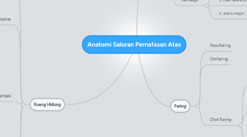 Mind Map: Anatomi Saluran Pernafasan Atas