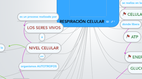 Mind Map: RESPIRACIÓN CELULAR