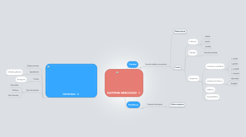 Mind Map: SISTEMA NERVIOSO