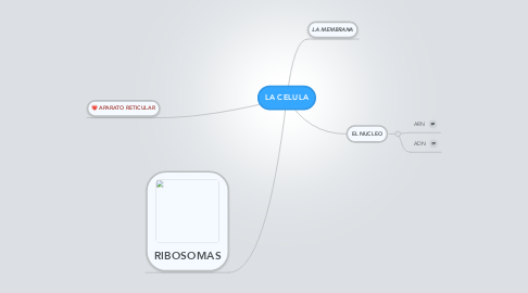 Mind Map: LA CELULA