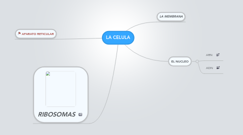 Mind Map: LA CELULA