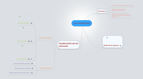 Mind Map: LAS NEURONAS