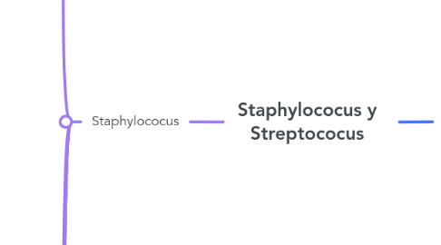 Mind Map: Staphylococus y Streptococus