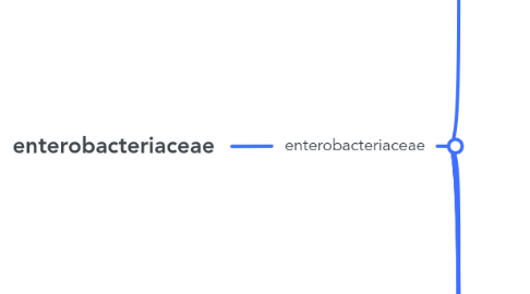 Mind Map: enterobacteriaceae