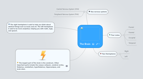 Mind Map: The Brain