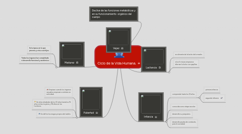 Mind Map: Ciclo de la Vida Humana.