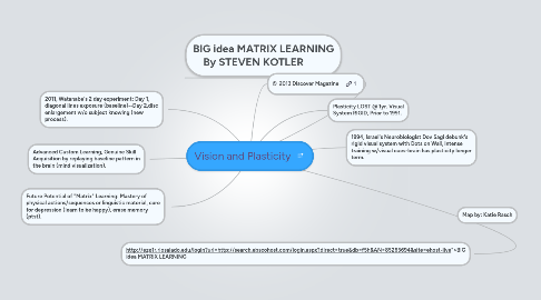 Mind Map: Vision and Plasticity