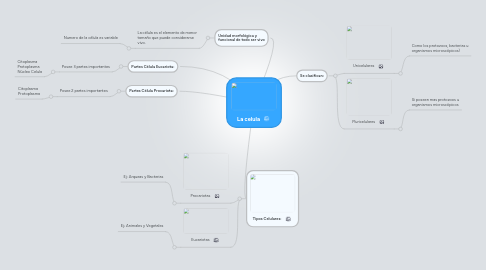 Mind Map: La celula